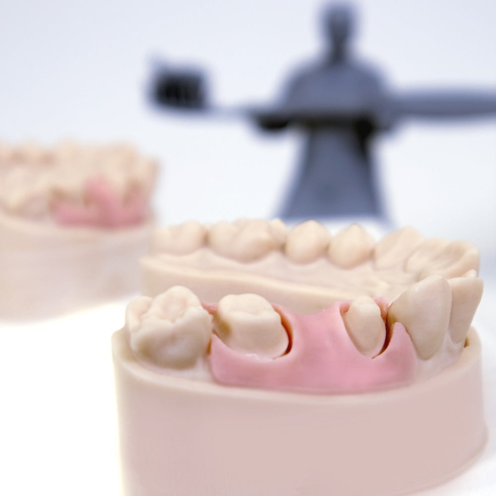 GINGIVA Flexible Dental Model Resin - Monocure3D