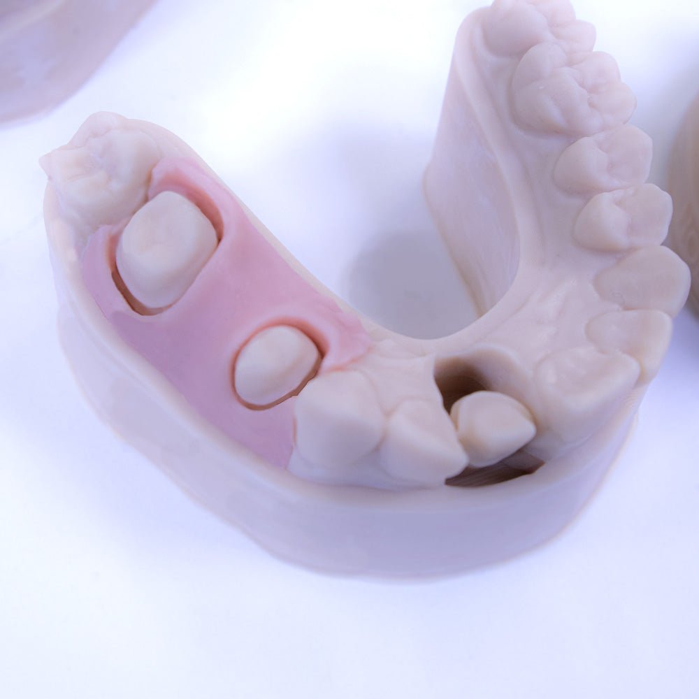 GINGIVA Flexible Dental Model Resin - Monocure3D