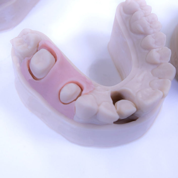 GINGIVA Flexible Dental Model Resin - Monocure3D