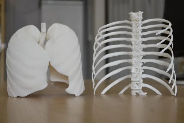 Industrial SLA 3D Printer | Optima LT1000 - Monocure3D