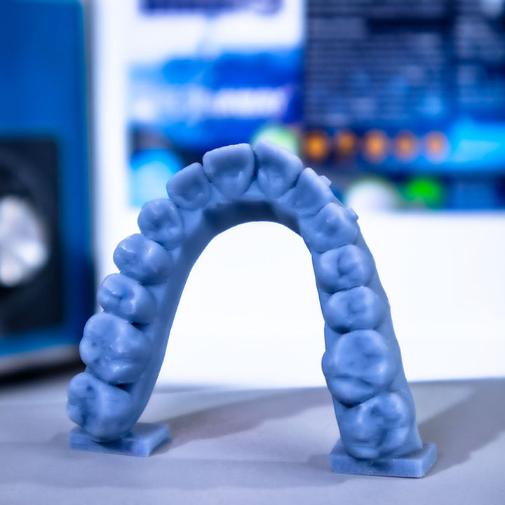 Study Dental Model Resin