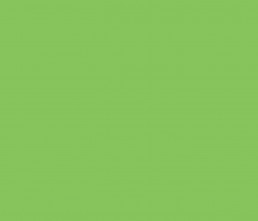 Brilliant Light Green - MTN Water Based Paint Refill – 200ml